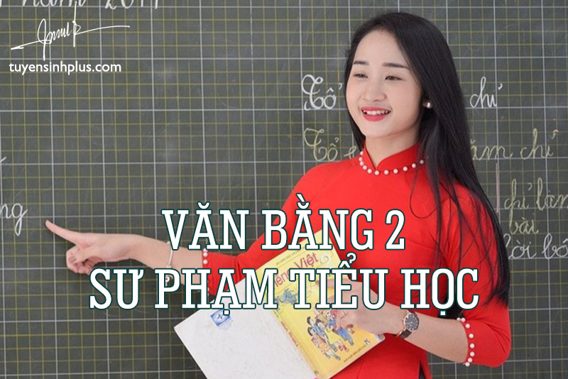 văn bằng 2 sư phạm tiểu học 2021